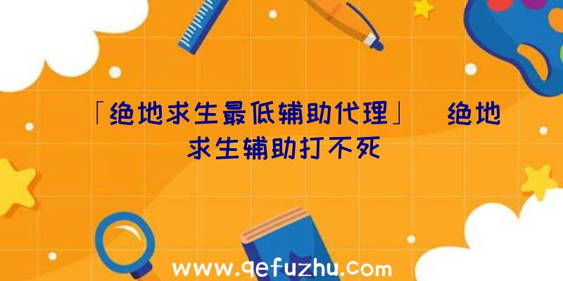 「绝地求生最低辅助代理」|绝地求生辅助打不死